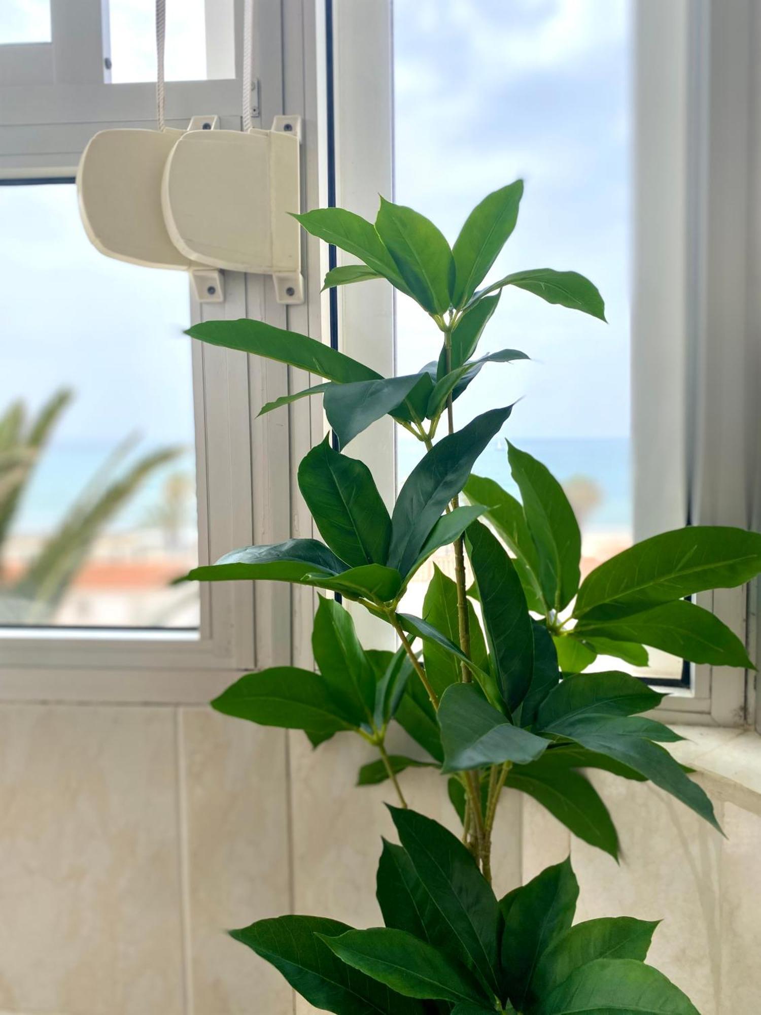 Apartamento Luz Del Mar تورّوكس كوستا المظهر الخارجي الصورة